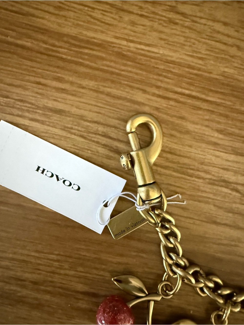Coach Rainbow Cherries Chain Bag Charm NWT - RARE - Picture 4 of 5